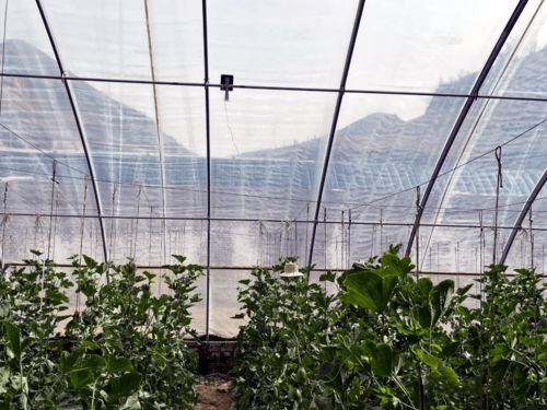 陜西首個數字鄉鎮示范村驗收成功，物聯網技術點亮智慧鄉村新圖景