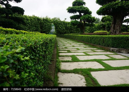 公園道路綠化高清圖片下載 紅動網(wǎng)