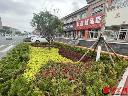 更好的濰坊 品質(zhì)優(yōu)丨顏值與品質(zhì)并存 濰坊全要素示范街來了