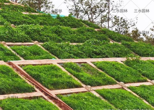 內江市高速公路邊坡施工找專業的工程隊