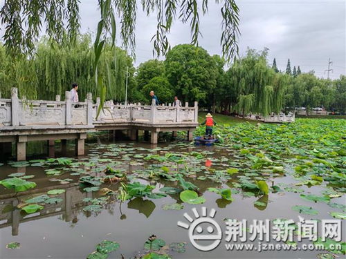 緊急提醒 荊州已出現(xiàn) 千萬(wàn)別碰