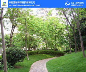 園林工程 清和園林專業(yè)團(tuán)隊 防風(fēng)沙園林工程