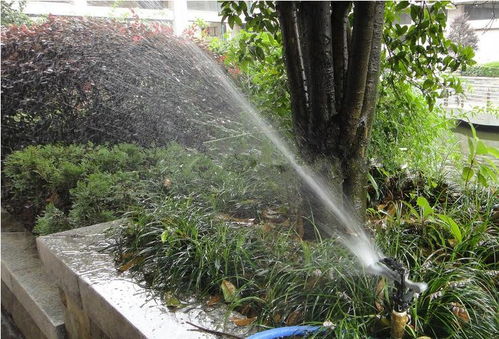 昆明考綠化工證及體育場地設施工程施工指南 難度、費用與準入解析