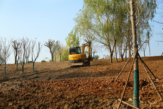 園林景觀與園林綠化工程施工的重要性與方法